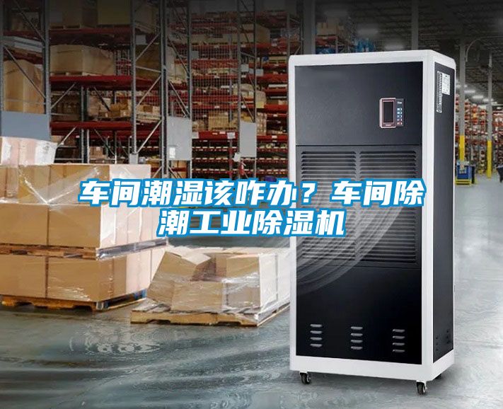 車間潮濕該咋辦？車間除潮工業除濕機