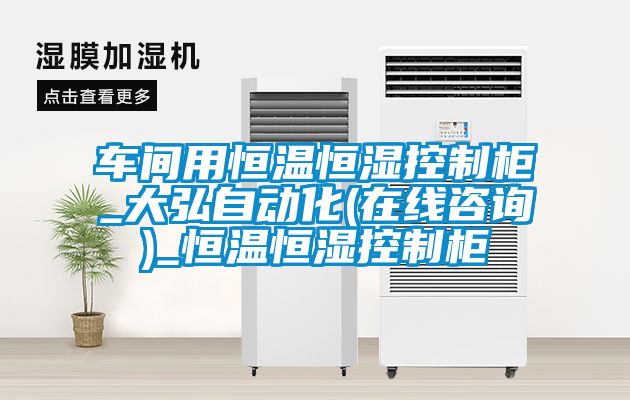 車間用恒溫恒濕控制柜_大弘自動化(在線咨詢)_恒溫恒濕控制柜