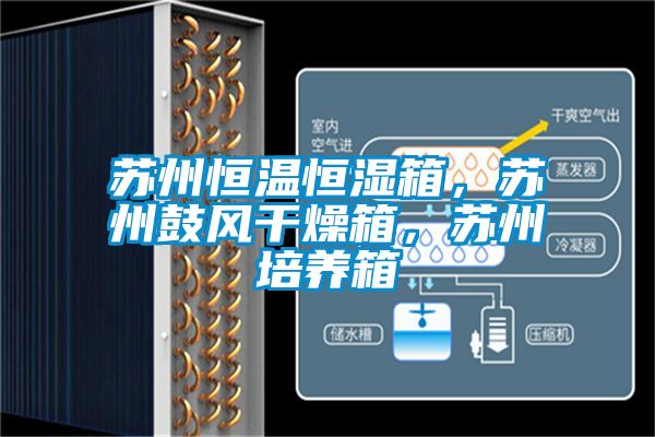 蘇州恒溫恒濕箱，蘇州鼓風(fēng)干燥箱，蘇州培養(yǎng)箱