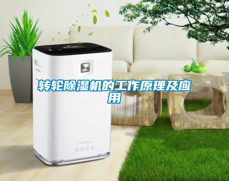 轉(zhuǎn)輪除濕機的工作原理及應用