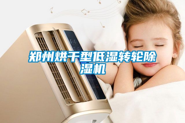 鄭州烘干型低濕轉輪除濕機