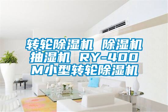 轉輪除濕機 除濕機抽濕機 RY-400M小型轉輪除濕機