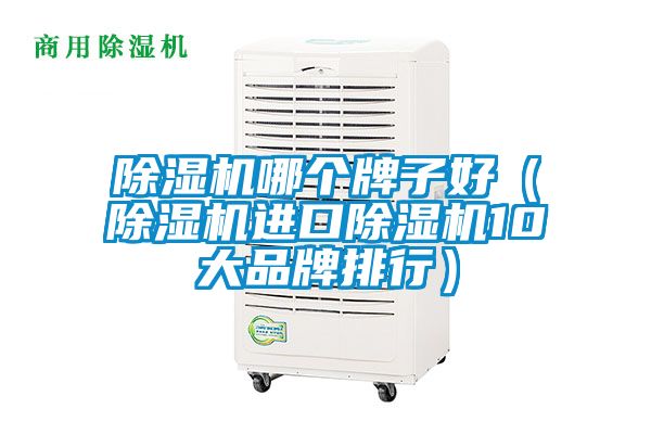 除濕機哪個牌子好（除濕機進口除濕機10大品牌排行）