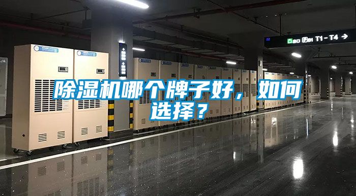 除濕機哪個牌子好，如何選擇？
