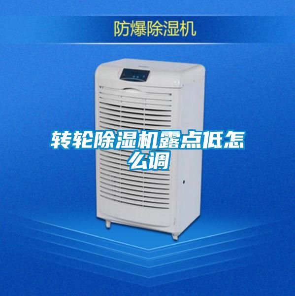 轉(zhuǎn)輪除濕機露點低怎么調(diào)