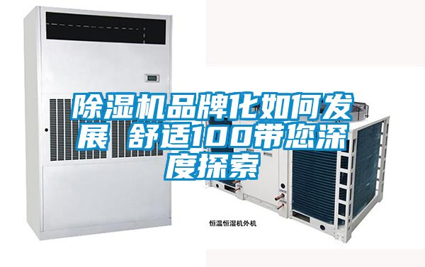 除濕機品牌化如何發展　　舒適100帶您深度探索