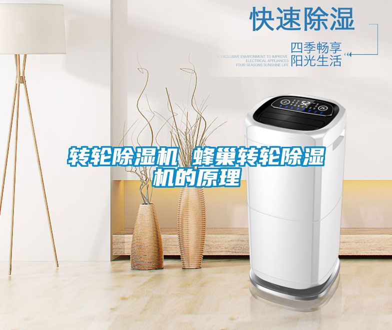 轉輪除濕機 蜂巢轉輪除濕機的原理