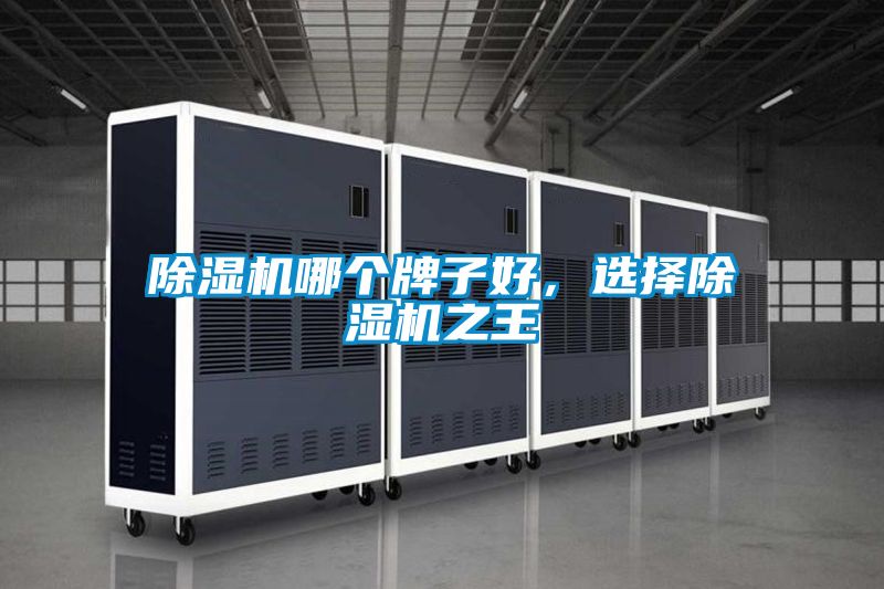 除濕機哪個牌子好，選擇除濕機之王