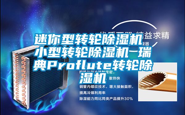 迷你型轉輪除濕機 小型轉輪除濕機 瑞典Proflute轉輪除濕機