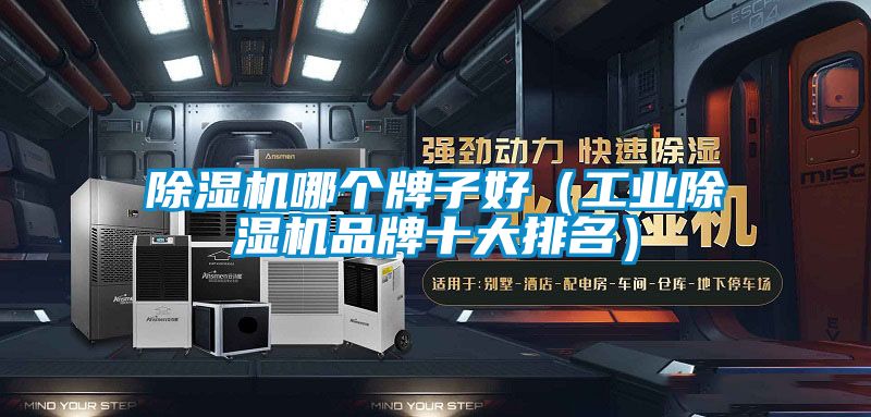 除濕機哪個牌子好（工業除濕機品牌十大排名）