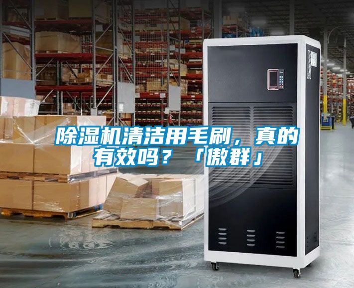 除濕機清潔用毛刷，真的有效嗎？「傲群」