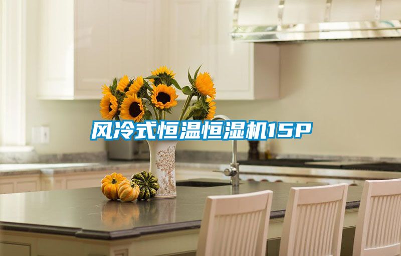 風(fēng)冷式恒溫恒濕機15P
