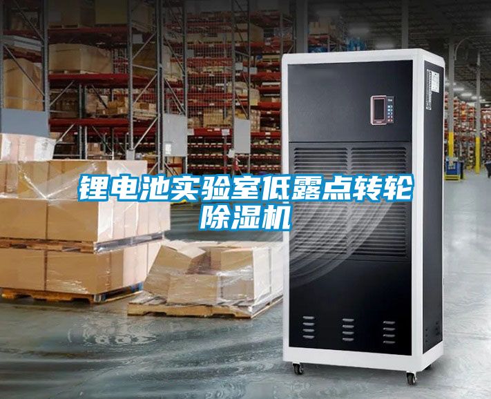 鋰電池實驗室低露點轉輪除濕機