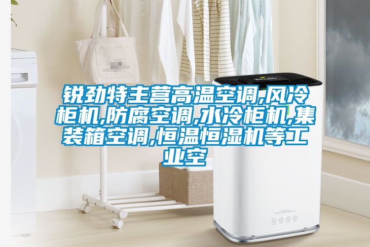 銳勁特主營高溫空調(diào),風(fēng)冷柜機(jī),防腐空調(diào),水冷柜機(jī),集裝箱空調(diào),恒溫恒濕機(jī)等工業(yè)空