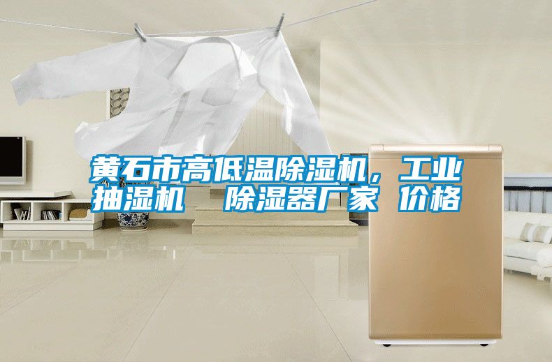 黃石市高低溫除濕機，工業(yè)抽濕機  除濕器廠家 價格