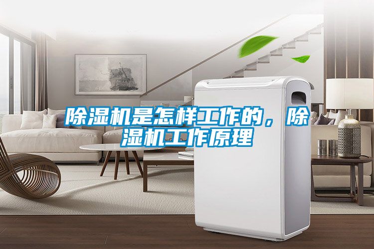 除濕機是怎樣工作的，除濕機工作原理