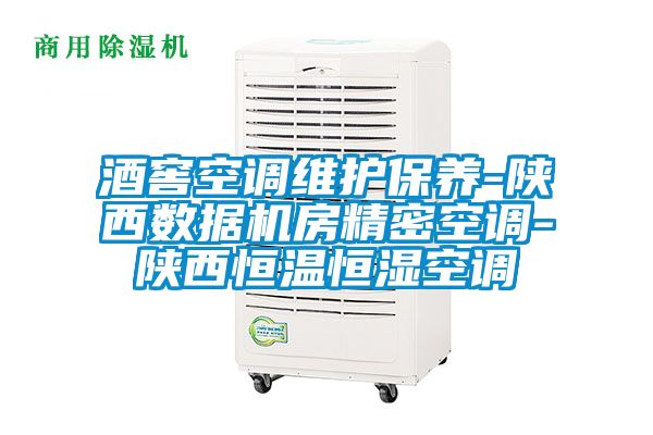 酒窖空調(diào)維護保養(yǎng)-陜西數(shù)據(jù)機房精密空調(diào)-陜西恒溫恒濕空調(diào)