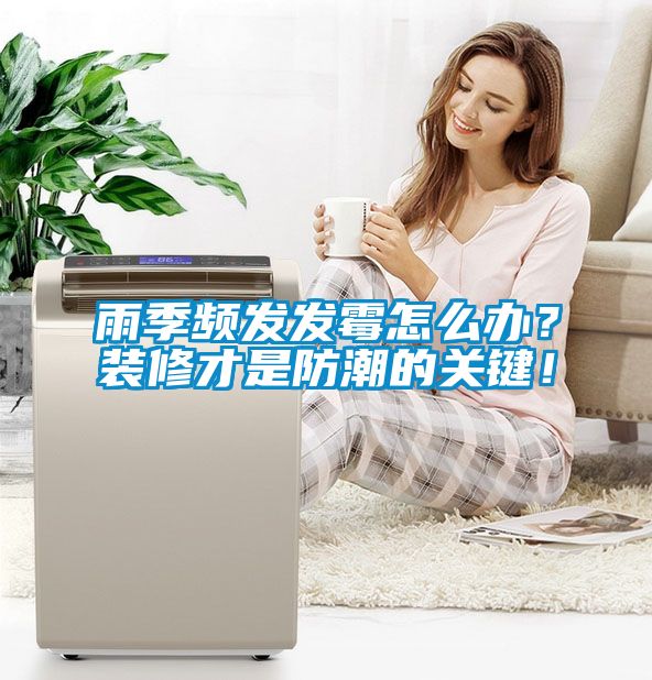 雨季頻發發霉怎么辦？裝修才是防潮的關鍵！