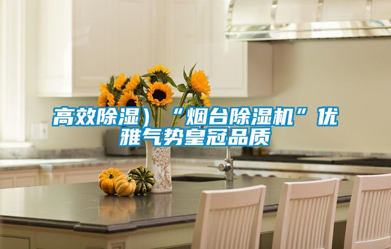 高效除濕）“煙臺除濕機”優(yōu)雅氣勢皇冠品質