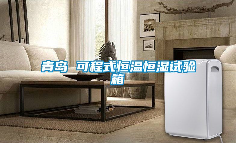 青島 可程式恒溫恒濕試驗(yàn)箱