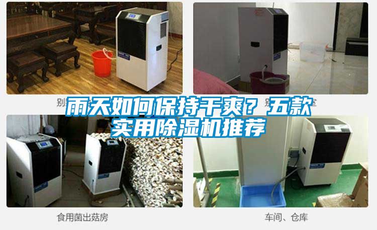 雨天如何保持干爽？五款實用除濕機推薦