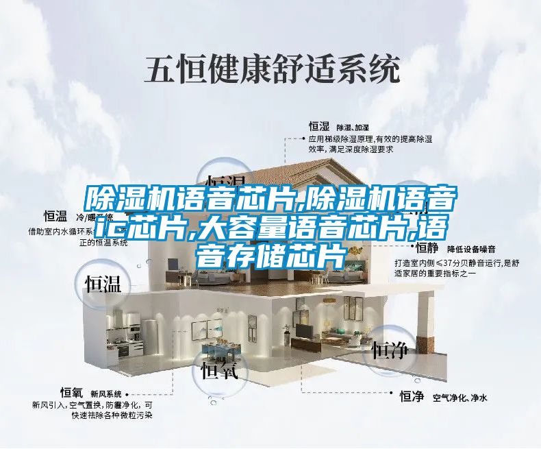 除濕機語音芯片,除濕機語音ic芯片,大容量語音芯片,語音存儲芯片