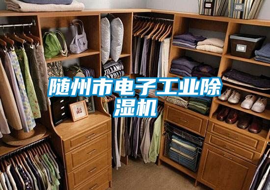 隨州市電子工業除濕機