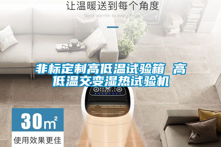 非標(biāo)定制高低溫試驗箱 高低溫交變濕熱試驗機