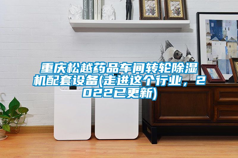 重慶松越藥品車間轉(zhuǎn)輪除濕機配套設(shè)備(走進(jìn)這個行業(yè)，2022已更新)