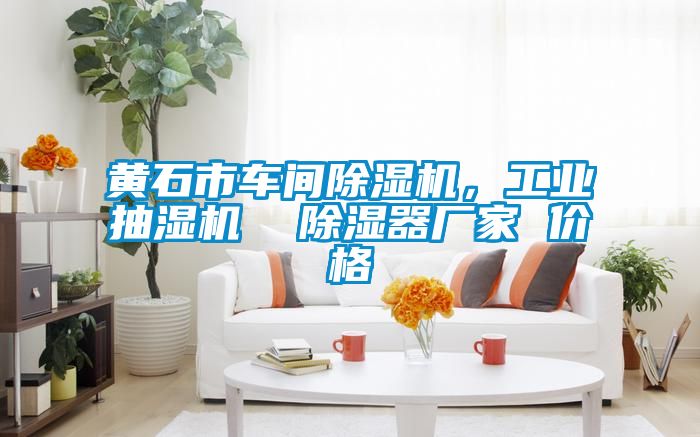 黃石市車間除濕機，工業(yè)抽濕機  除濕器廠家 價格
