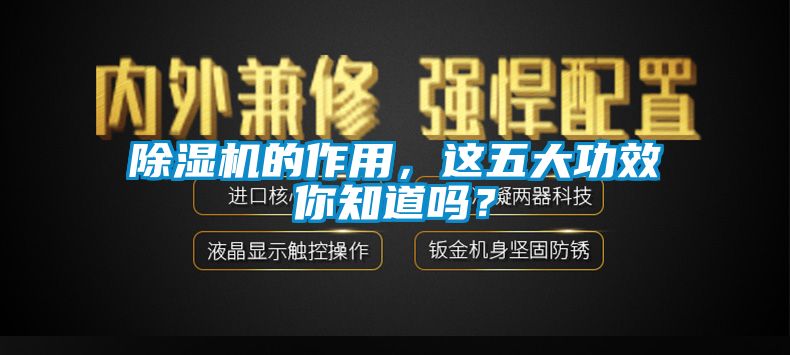 除濕機的作用，這五大功效你知道嗎？