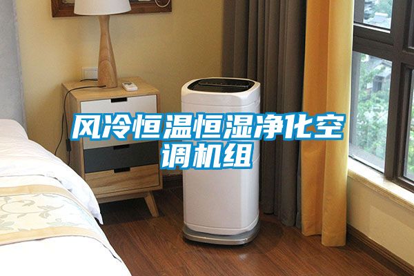 風(fēng)冷恒溫恒濕凈化空調(diào)機組