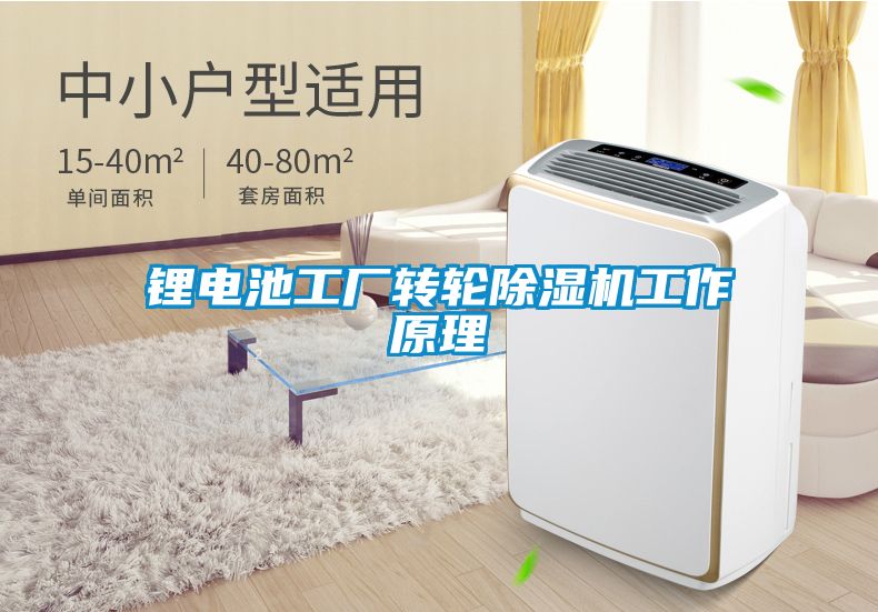鋰電池工廠轉輪除濕機工作原理