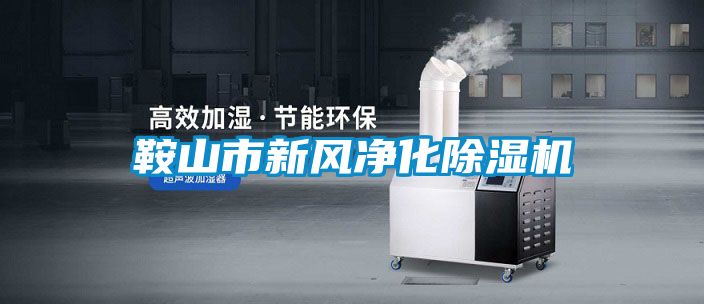 鞍山市新風(fēng)凈化除濕機