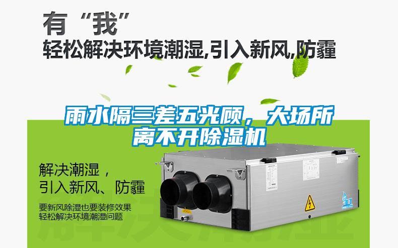 雨水隔三差五光顧，大場所離不開除濕機