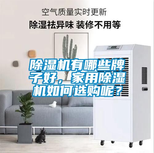 除濕機(jī)有哪些牌子好，家用除濕機(jī)如何選購呢？