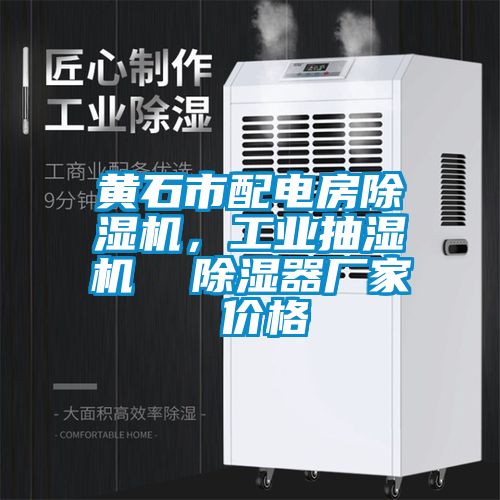 黃石市配電房除濕機，工業(yè)抽濕機  除濕器廠家 價格