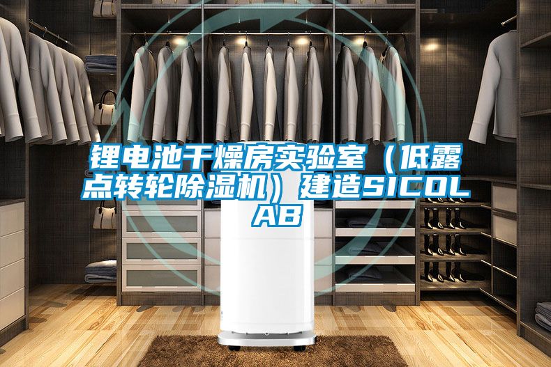 鋰電池干燥房實驗室（低露點轉(zhuǎn)輪除濕機）建造SICOLAB