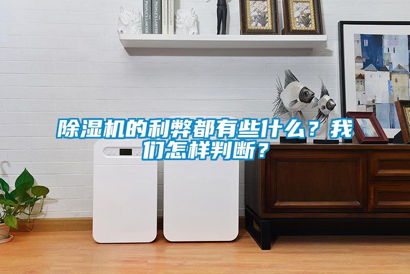 除濕機(jī)的利弊都有些什么？我們?cè)鯓优袛啵?></div>
								<div   id=