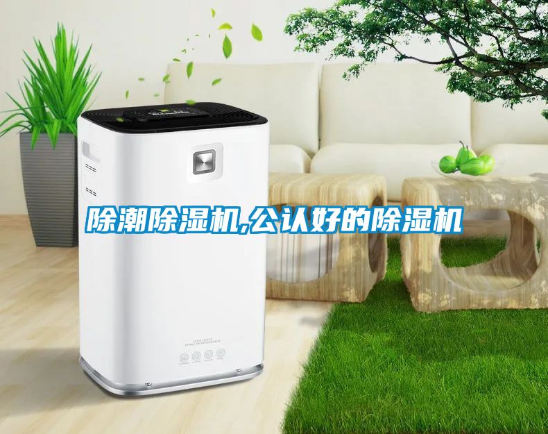 除潮除濕機,公認好的除濕機