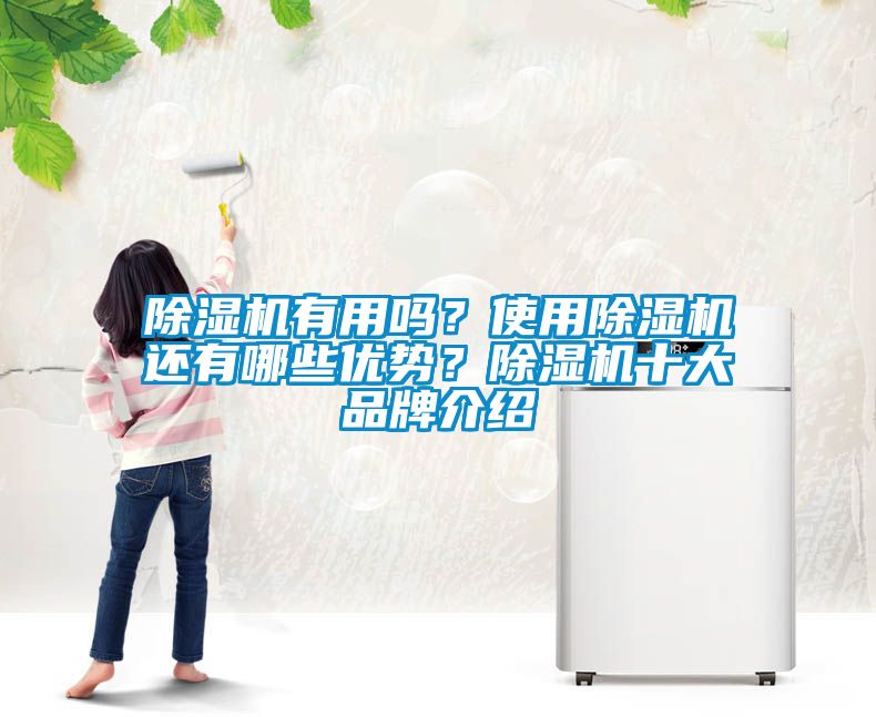 除濕機有用嗎？使用除濕機還有哪些優勢？除濕機十大品牌介紹