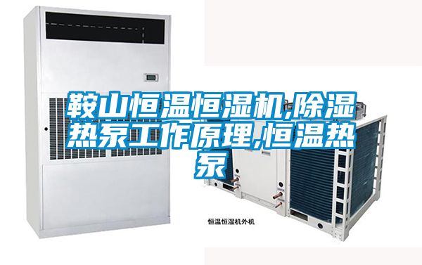 鞍山恒溫恒濕機,除濕熱泵工作原理,恒溫?zé)岜?></div>
								<div   id=