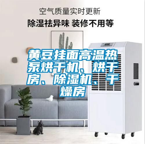 黃豆掛面高溫?zé)岜煤娓蓹C(jī)、烘干房、除濕機(jī)、干燥房