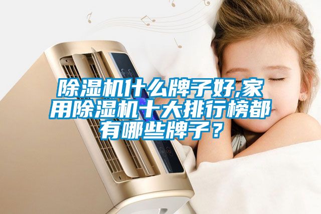 除濕機什么牌子好,家用除濕機十大排行榜都有哪些牌子？