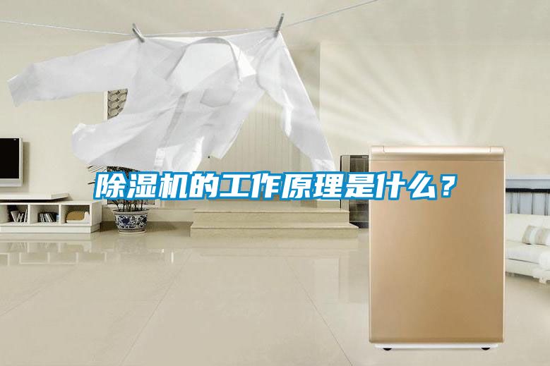 除濕機的工作原理是什么？