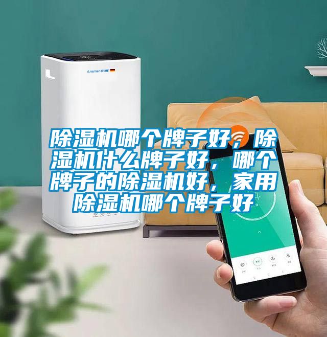 除濕機哪個牌子好，除濕機什么牌子好，哪個牌子的除濕機好，家用除濕機哪個牌子好