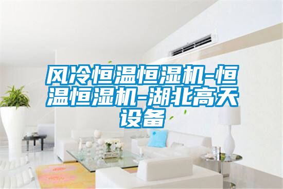風(fēng)冷恒溫恒濕機-恒溫恒濕機-湖北高天設(shè)備