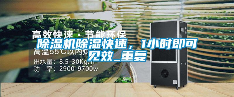 除濕機除濕快速，1小時即可見效_重復