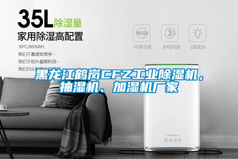 黑龍江鶴崗CFZ工業(yè)除濕機，抽濕機、加濕機廠家