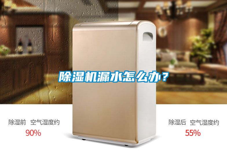 除濕機漏水怎么辦？